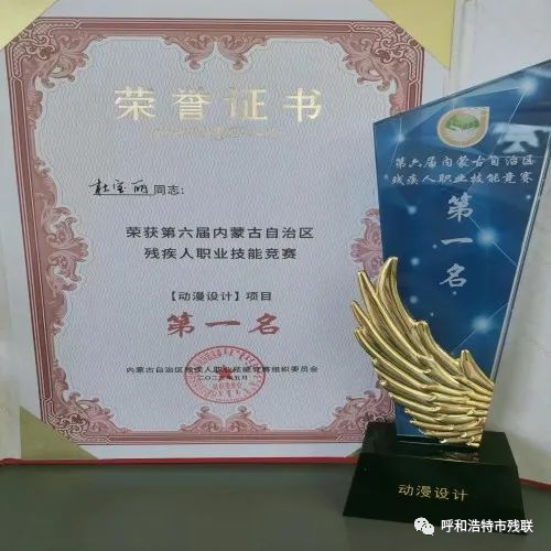 杜宝丽—第六届内蒙古自治区残疾人职业技能竞赛中荣获动漫设计项目第一名.png